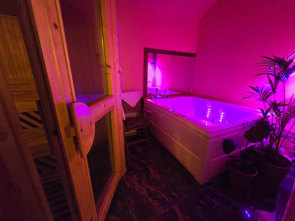 Apartmán s Vířivkou Oasis-spa Praha 3